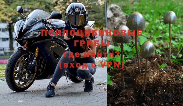 эйфоретик Алзамай