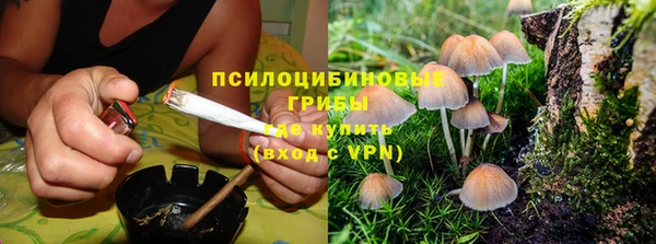 мет Алексеевка