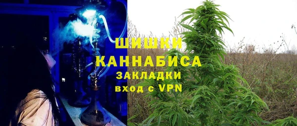 молекула духа Алексин