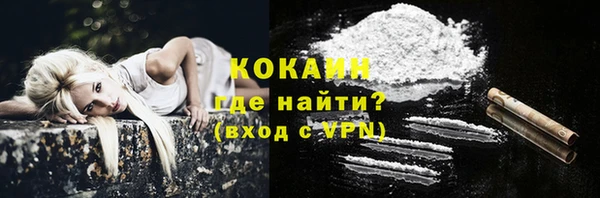 соль ск Абаза