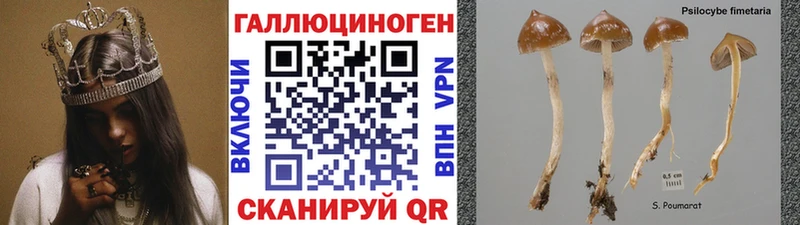 Галлюциногенные грибы ЛСД Красавино